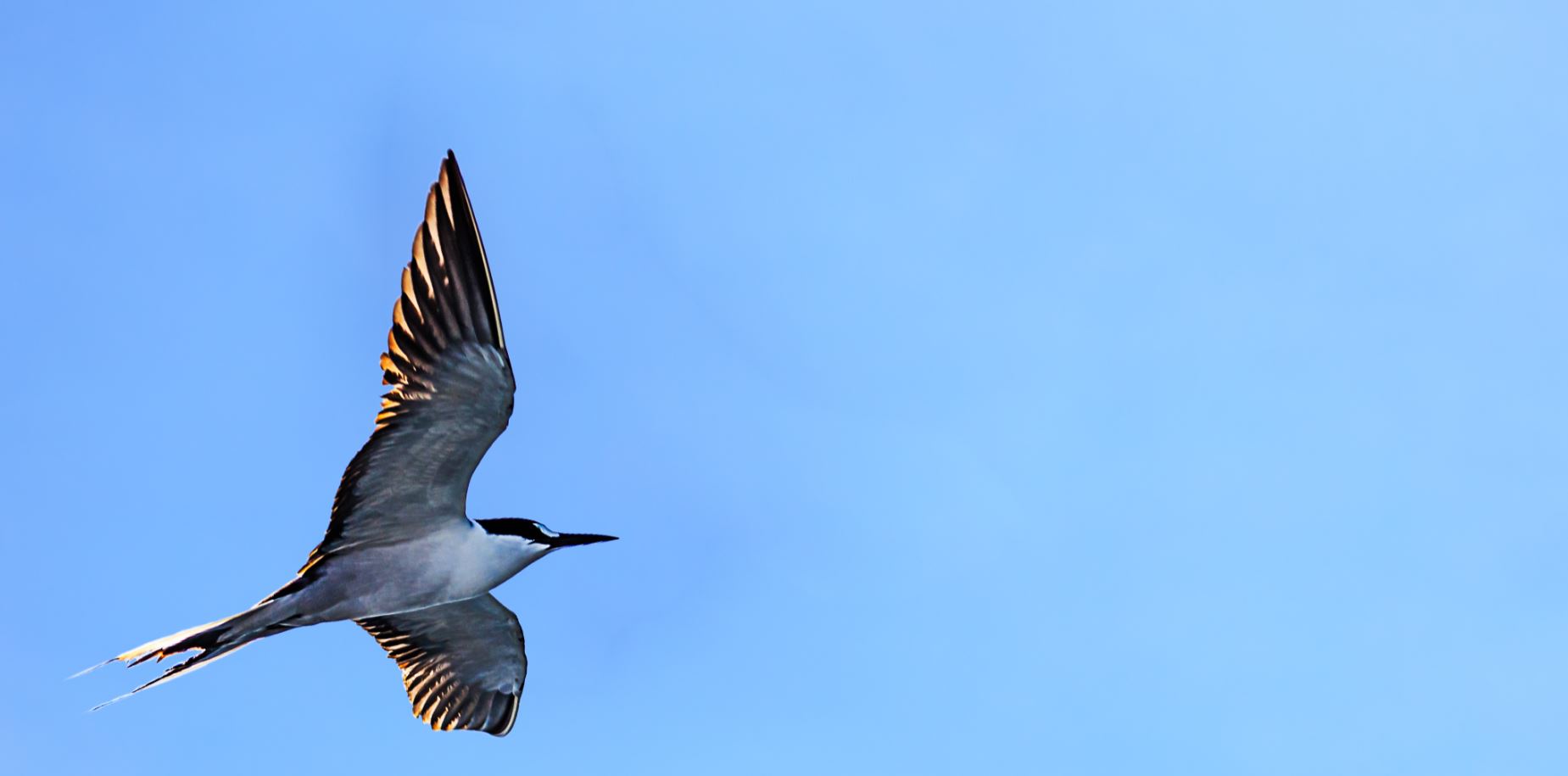 Early bird – Savoy Seychelles Resort and Spa 5*, Beau Vallon Beach, Mahe Island, Seychelles